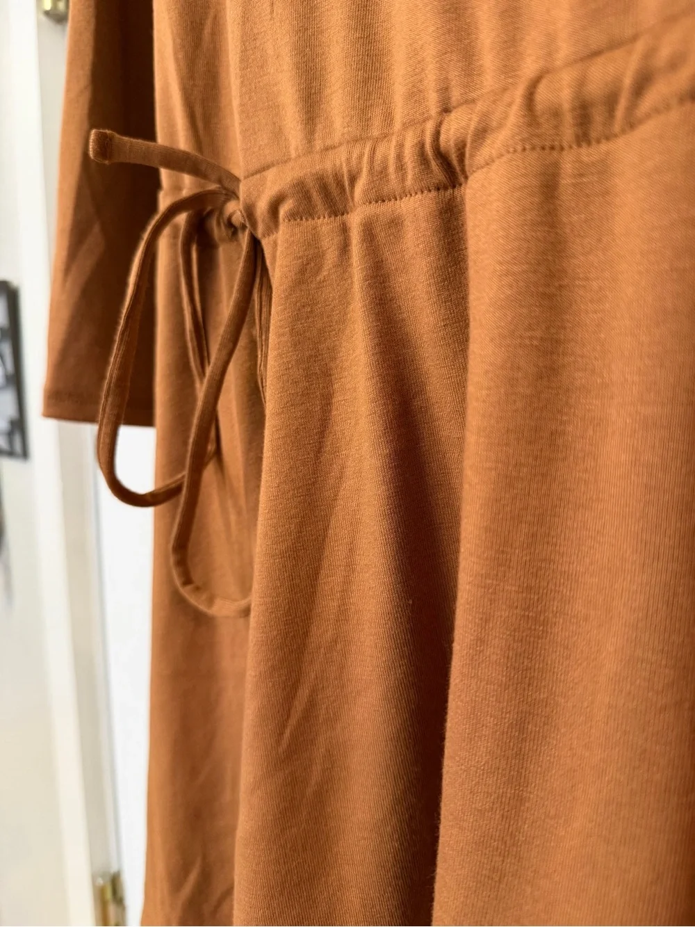 Free People Long-Sleeve Drop Tie-Waist Dress in Rust Brown